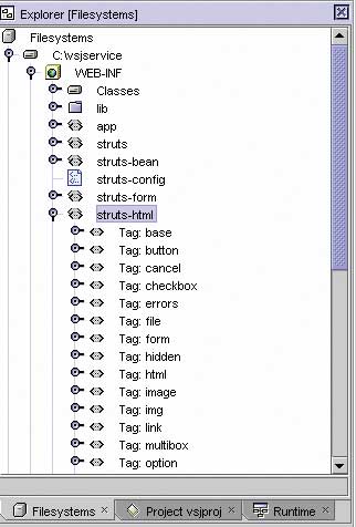 Figure 5: Struts tags display